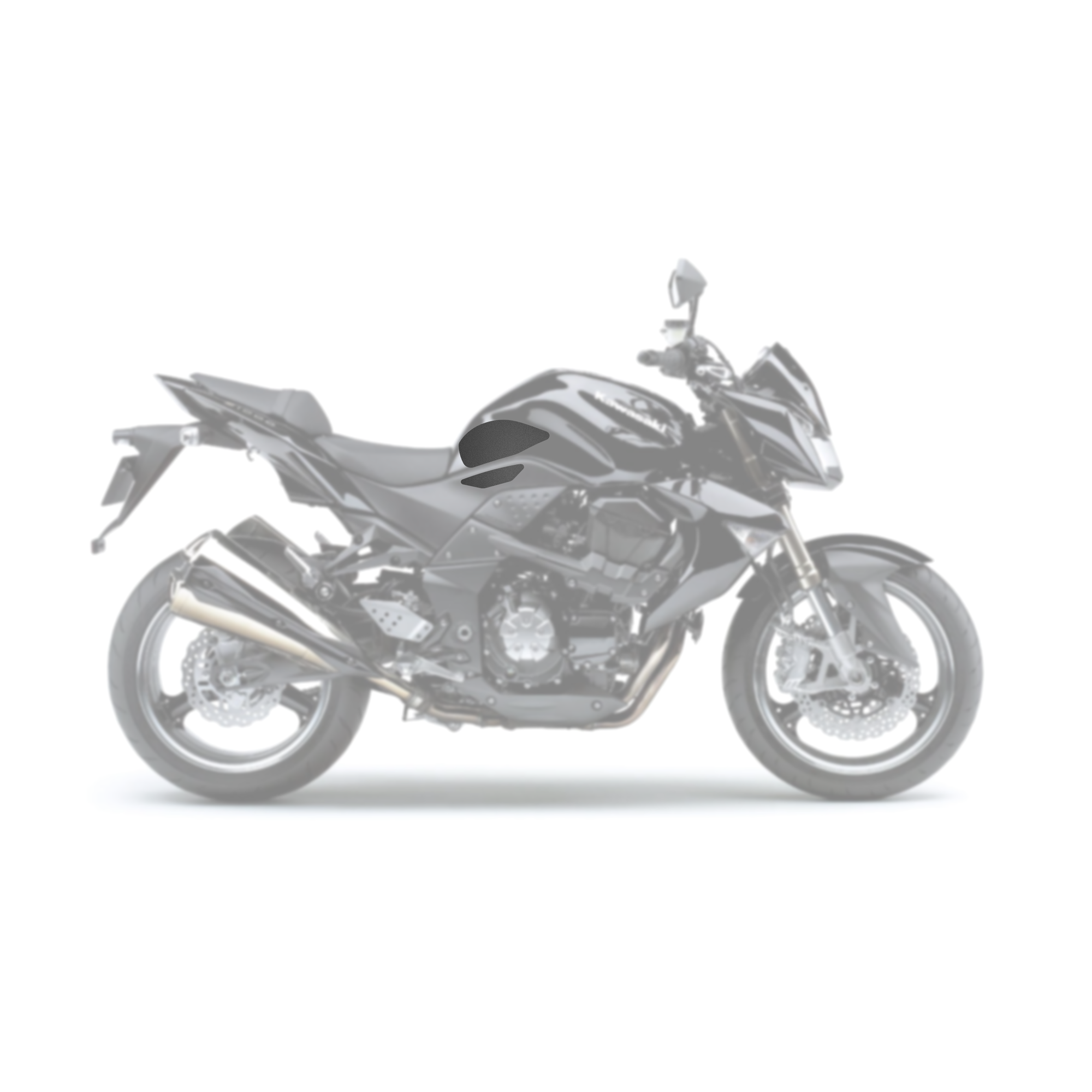 Kawasaki Z1000 2008 - 2009