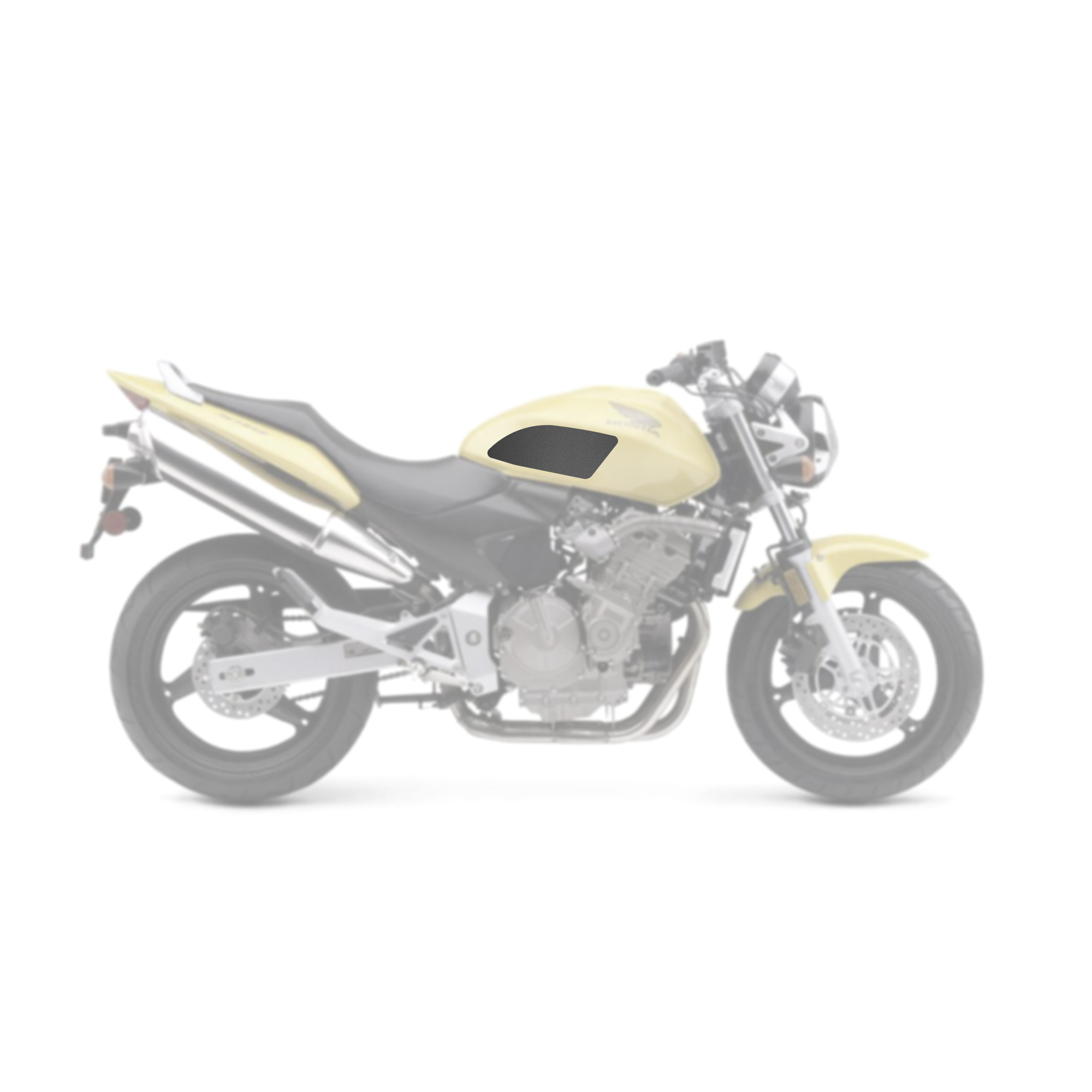 Honda CB600F 2000 - 2002