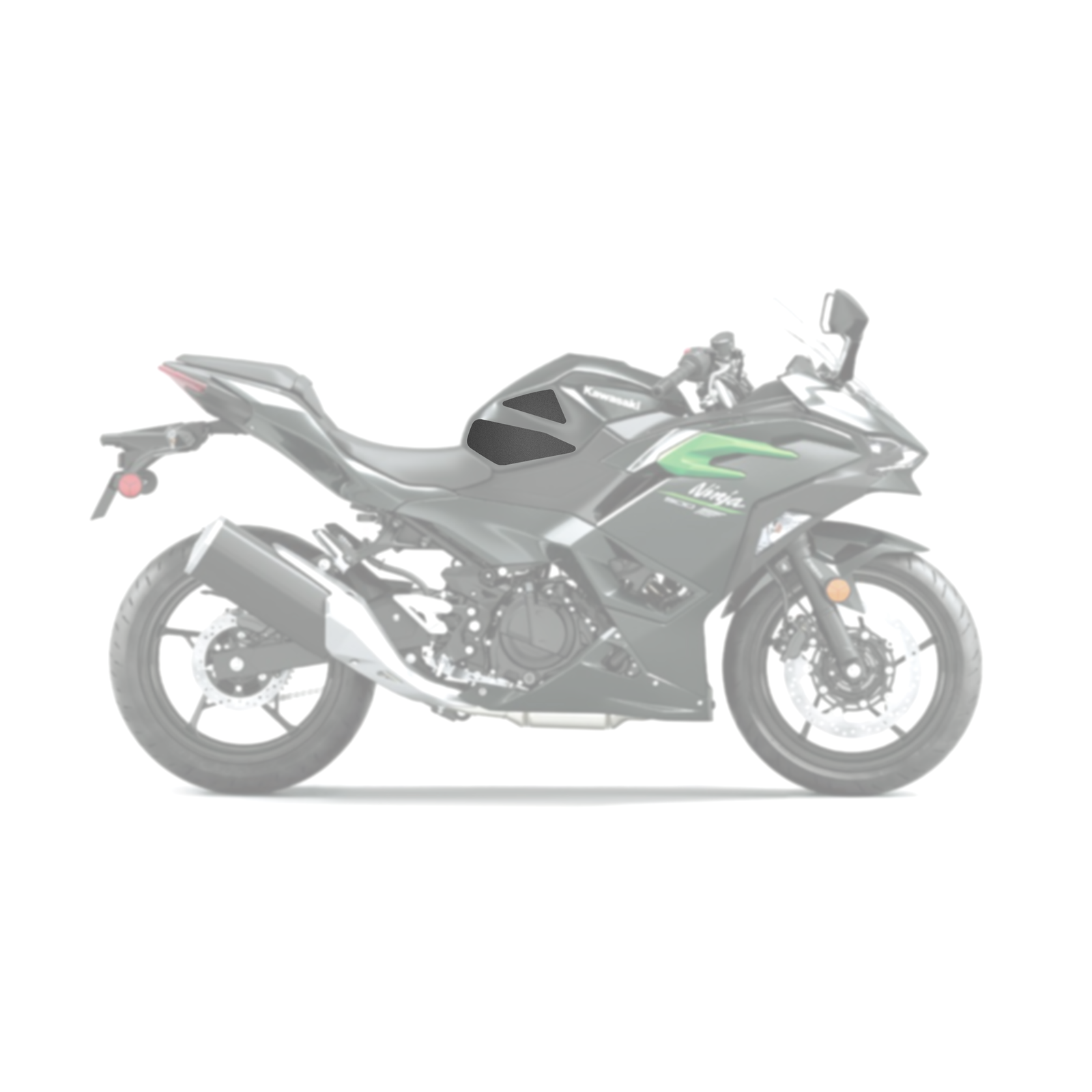 Kawasaki Ninja 500 2024 - 2025