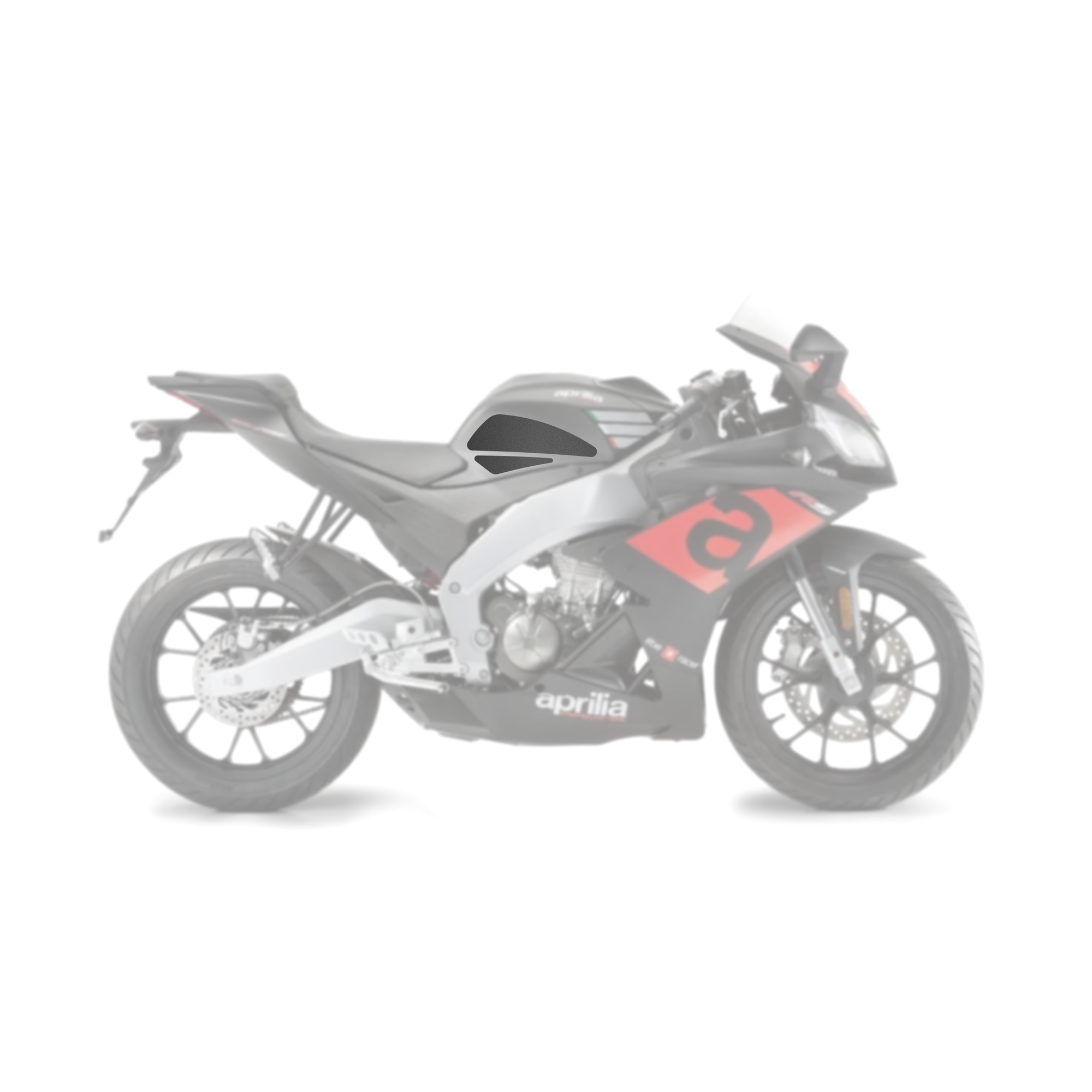 Aprilia RS 125 2006 - 2010