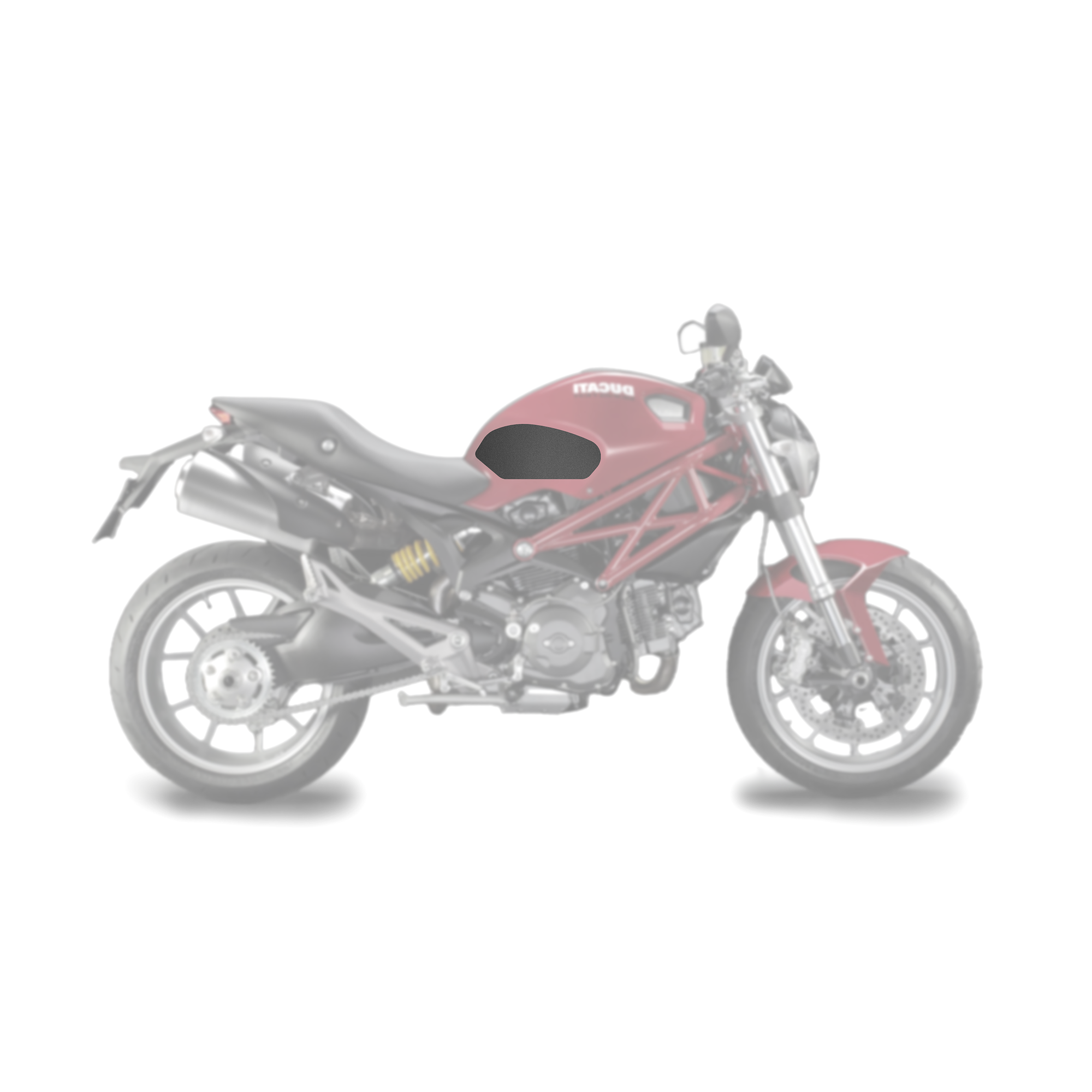 Ducati Monster 1100 2009 - 2010