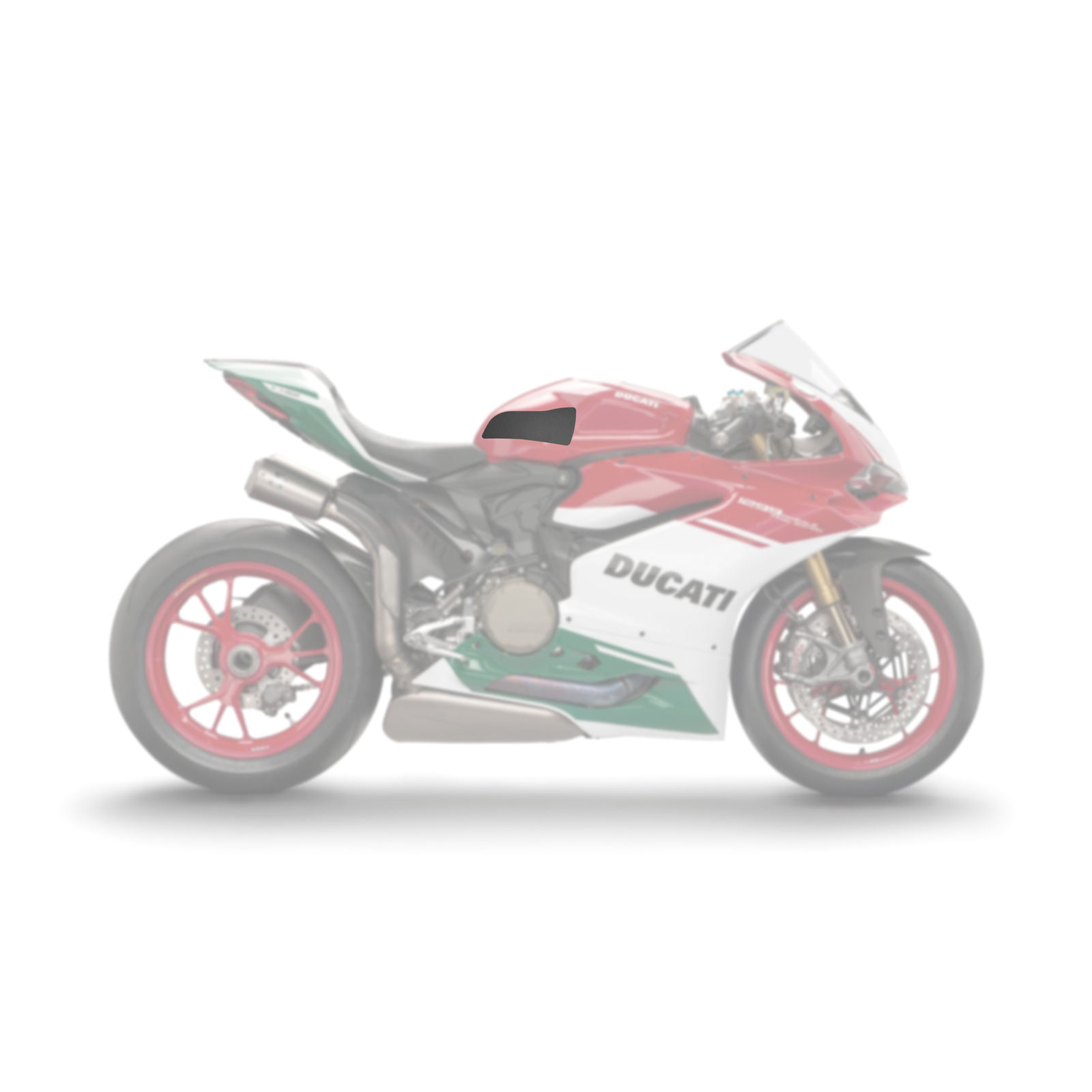 Ducati 1299 Panigale R 2018 - 2019